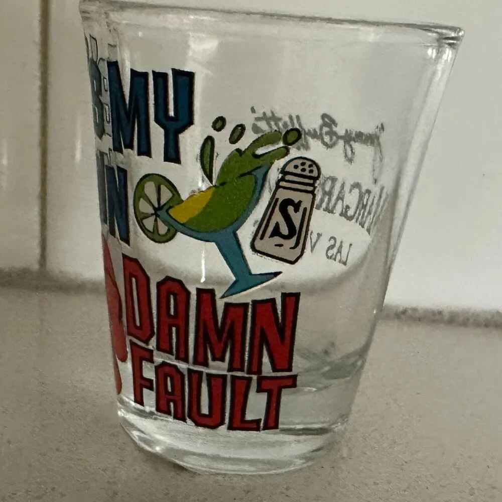 It's My Own Damn Fault - Shot Glass